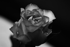 Ein Foto von 7secrets Fotografie